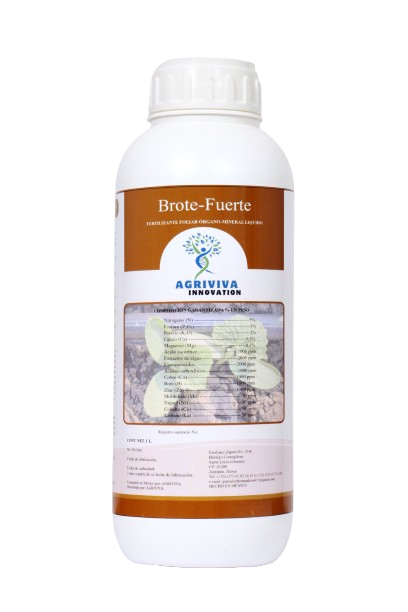 Imagen de Brote-Fuerte