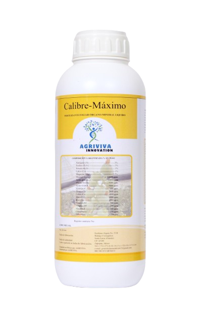 Imagen de Calibre-Máximo