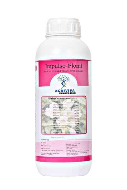 Imagen de Impulso-Floral