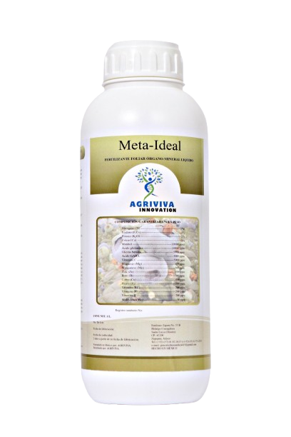 Imagen de Meta-Ideal