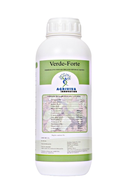 Imagen de Verde-Forte